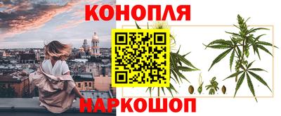 стаф Лесосибирск