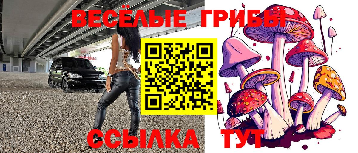 Псилоцибиновые грибы MAGIC MUSHROOMS Каменка