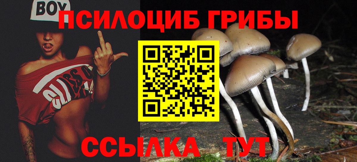 Каменка  Галлюциногенные грибы Psilocybe  Псилоцибиновые грибы Psilocybine cubensis  Вход с VPN 