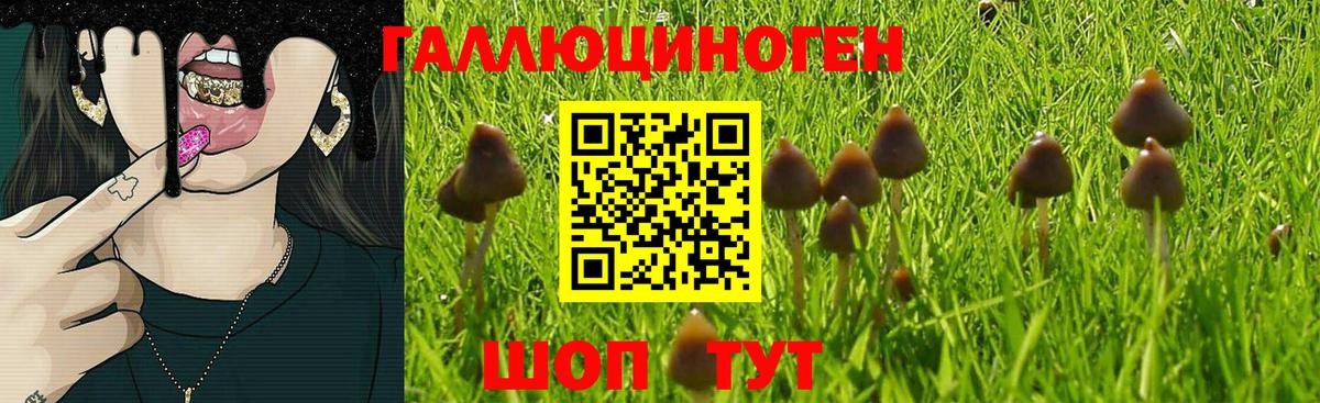 ГАШИШ  MDMA  КОКАИН  Каменка  Мефедрон   Марихуана  Вход с VPN 